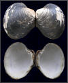 Arctica islandica