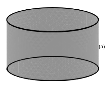 A cylinder connecting two rings
