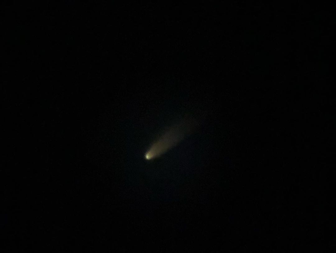 Comet Neowise through my telescope
