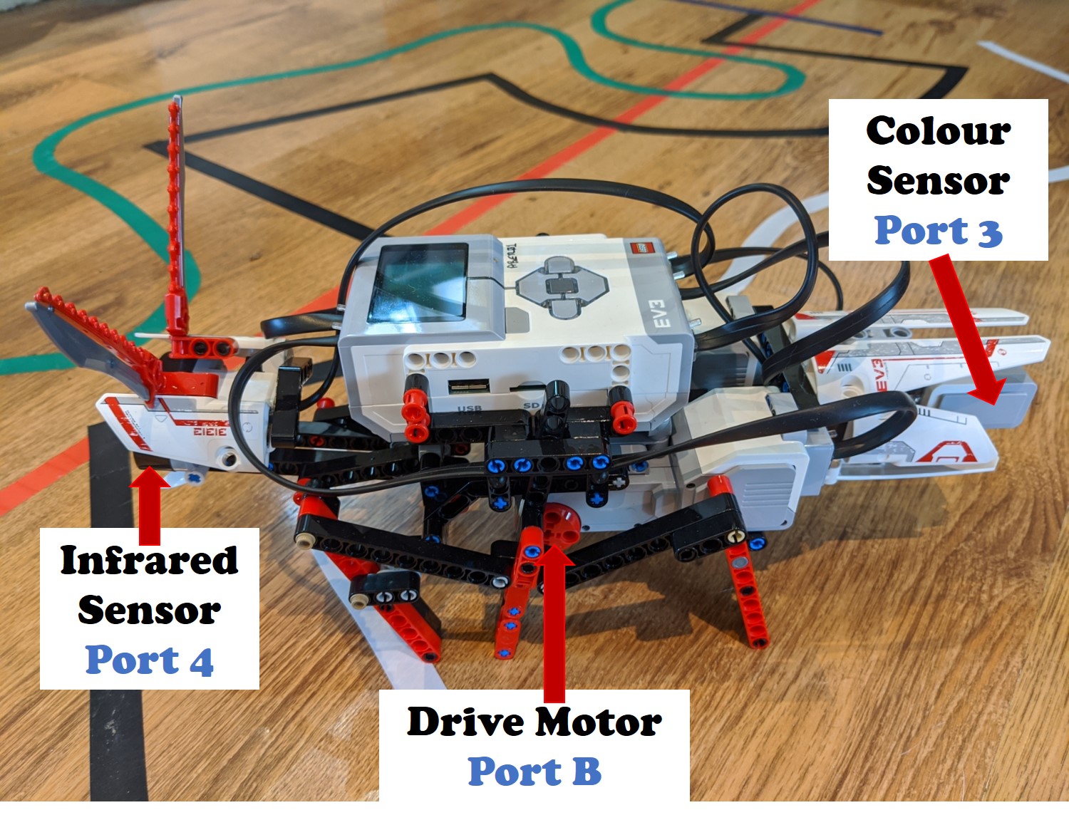 Side view of the Antsy unit. Three legs either side connected to drive motors (left is on port B, right legs on port C motor). The head houses an InfraRed sensor connected to port 4 and the 'tail' is a colour sensor connected to port 3