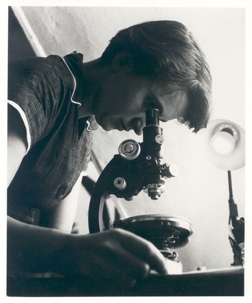 Rosalind Franklin gazing through a microscope